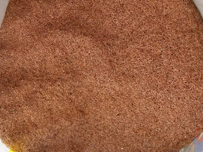 w66国际·利来(中国)最给力的老牌