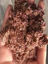 w66国际·利来(中国)最给力的老牌