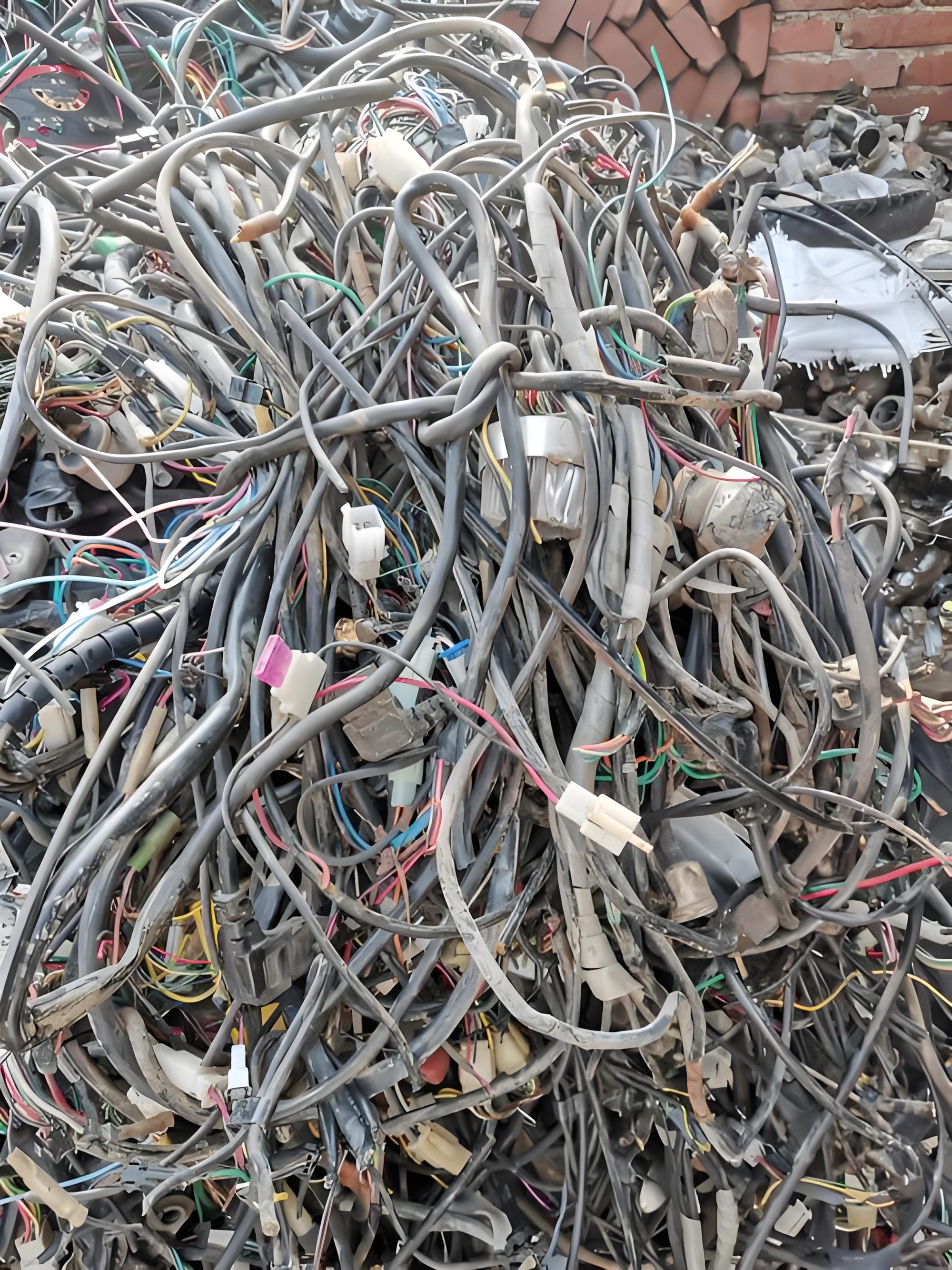 w66国际·利来(中国)最给力的老牌