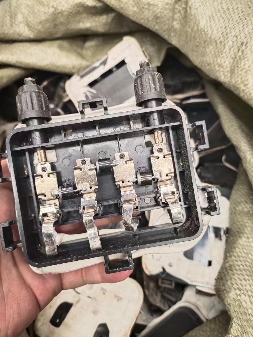 w66国际·利来(中国)最给力的老牌