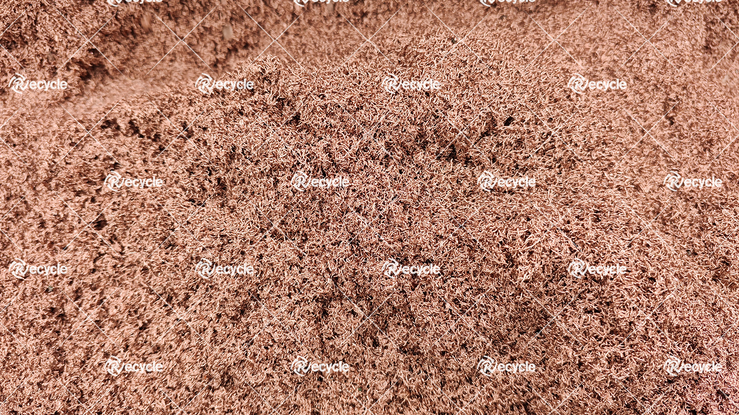 w66国际·利来(中国)最给力的老牌