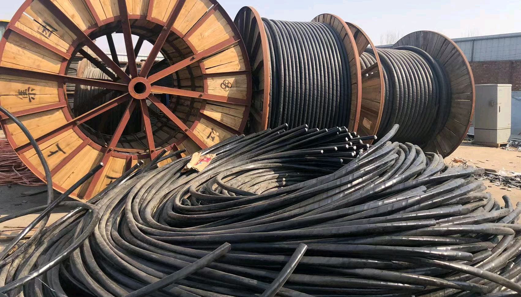 w66国际·利来(中国)最给力的老牌