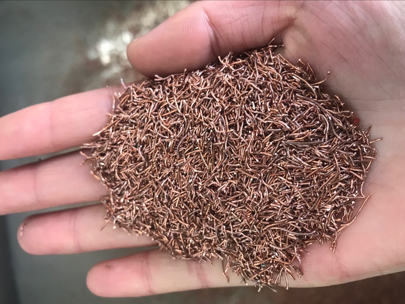 w66国际·利来(中国)最给力的老牌