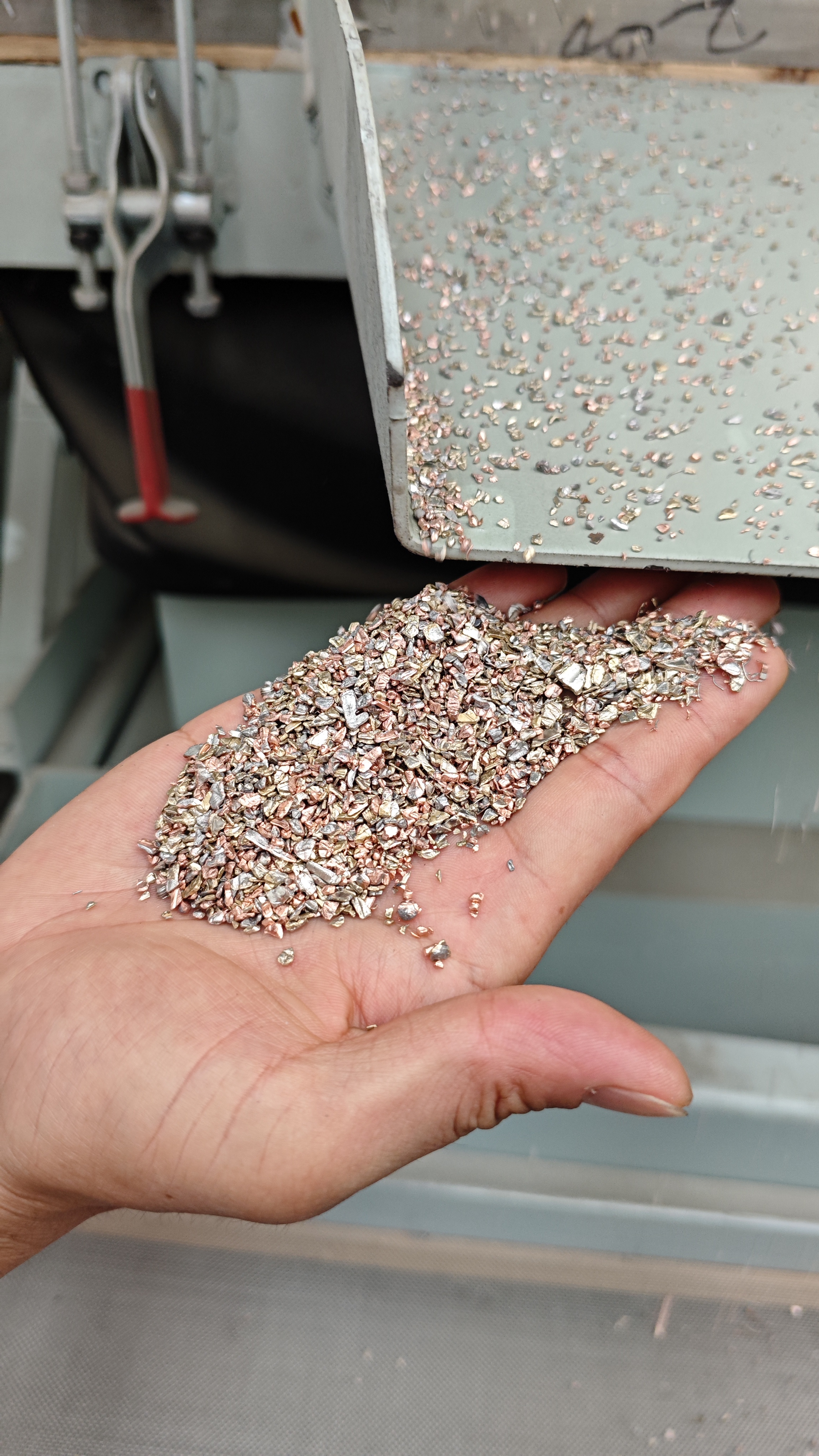 w66国际·利来(中国)最给力的老牌